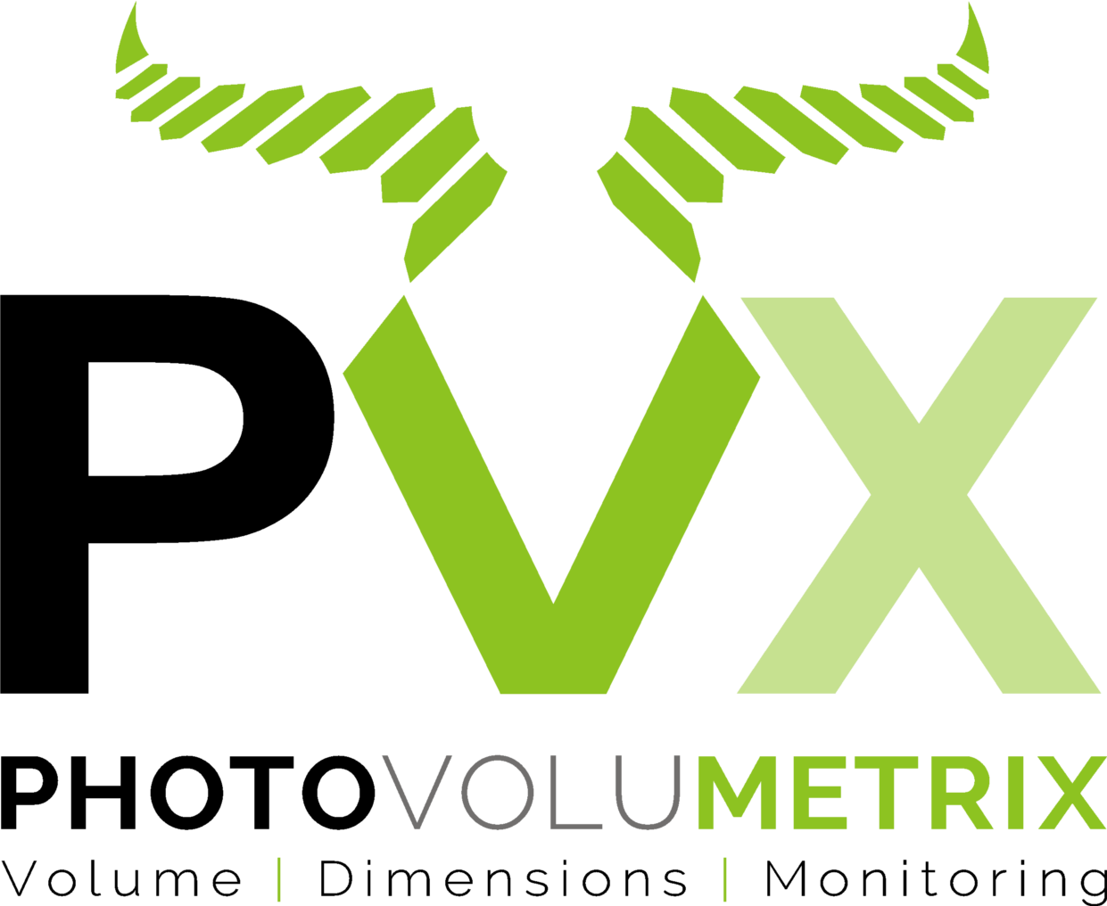 PhotoVolumetriX